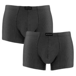 TOM TAILOR 2-pack Microfiber Boxers Stripes Zwart