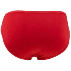 Bamboo Basics Dames 3-pack Taille-slips Julia Rood 9 Bamboo Basics Dames 3-pack Taille-slips Julia Rood -Boxers Ondergoed Winkel aHR0cHM6Ly93d3cuYm94ZXJzLm5sL21lZGlhL2NhdGFsb2cvcHJvZHVjdC9iL2EvYmFtYm9vLWJhc2ljc19qdWxpYS0wMDRfMy5qcGc c3RvcmU9Ym94ZXJzX25sJmltYWdlLXR5cGU9aW1hZ2U