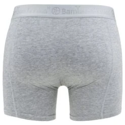 Bamboo Basics 3-pack Boxers Rico Grijs & Blauw 13 Bamboo Basics 3-pack Boxers Rico Grijs & Blauw -Boxers Ondergoed Winkel aHR0cHM6Ly93d3cuYm94ZXJzLm5sL21lZGlhL2NhdGFsb2cvcHJvZHVjdC9iL2EvYmFtYm9vLWJhc2ljc19yaWNvLTAyNF8xLmpwZz9zdG9yZT1ib3hlcnNfbmwmaW1hZ2UtdHlwZT1pbWFnZQ