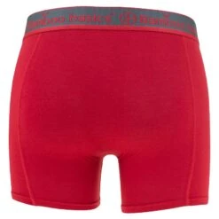 Bamboo Basics 7-pack Boxers Rico Combi Multi II -Boxers Ondergoed Winkel aHR0cHM6Ly93d3cuYm94ZXJzLm5sL21lZGlhL2NhdGFsb2cvcHJvZHVjdC9iL2EvYmFtYm9vLWJhc2ljc19yaWNvN3AwMDJfM19hY2h0ZXJrYW50XzEuanBnP3N0b3JlPWJveGVyc19ubCZpbWFnZS10eXBlPWltYWdl