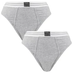 BJØRN BORG Björn Borg Dames Core Original 2-pack High Waist Slips Grijs