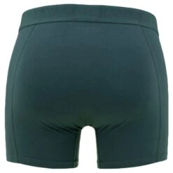 BJØRN BORG Björn Borg Cotton Stretch 2-pack Boxers Basic Leafs Groen & Zwart -Boxers Ondergoed Winkel aHR0cHM6Ly93d3cuYm94ZXJzLm5sL21lZGlhL2NhdGFsb2cvcHJvZHVjdC9iL2ovYmpvcm4tYm9yZ18xMDAwNDU1NS1tcDAwM18yLmpwZz9zdG9yZT1ib3hlcnNfbmwmaW1hZ2UtdHlwZT1pbWFnZQ