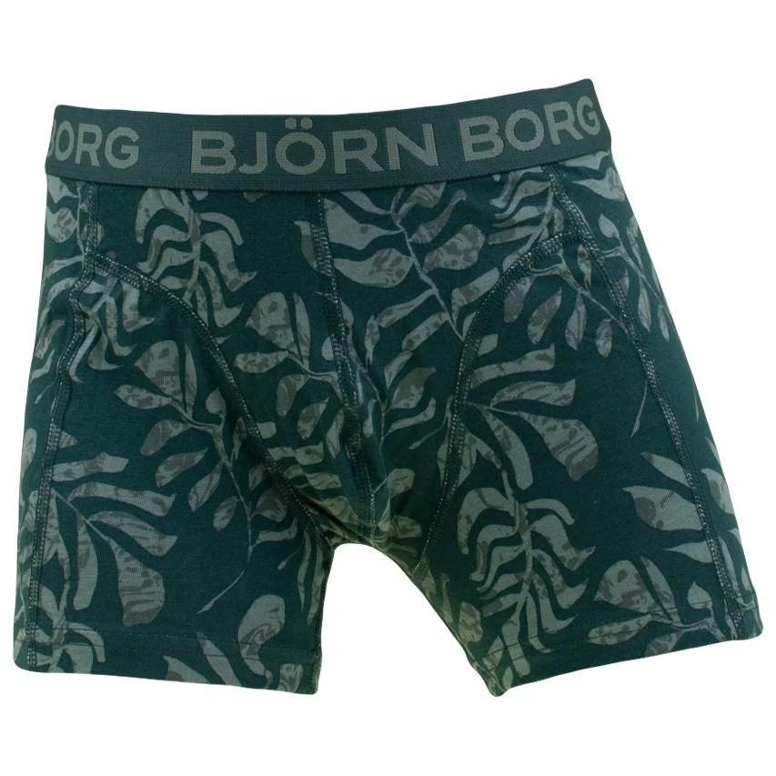 BJØRN BORG Björn Borg Jongens Cotton Stretch 5-pack Boxers Basic Leafs Multi III 2 BJØRN BORG Björn Borg Jongens Cotton Stretch 5-pack Boxers Basic Leafs Multi III - Afbeelding 2