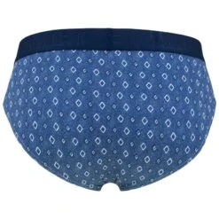 HOM HO1 2-pack Herenslips Jonas Blauw -Boxers Ondergoed Winkel aHR0cHM6Ly93d3cuYm94ZXJzLm5sL21lZGlhL2NhdGFsb2cvcHJvZHVjdC9oL28vaG9tXzQwMjg3NS1kMDE1XzUuanBnP3N0b3JlPWJveGVyc19ubCZpbWFnZS10eXBlPWltYWdl