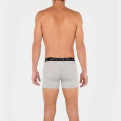 HOM 3-pack Long Boxers Patrick Zwart & Grijs 19 HOM 3-pack Long Boxers Patrick Zwart & Grijs -Boxers Ondergoed Winkel aHR0cHM6Ly93d3cuYm94ZXJzLm5sL21lZGlhL2NhdGFsb2cvcHJvZHVjdC9oL28vaG9tXzQwNTc2OS10MDE3XzNfbW9kZWxfYWNodGVya2FudC5qcGc c3RvcmU9Ym94ZXJzX25sJmltYWdlLXR5cGU9aW1hZ2U